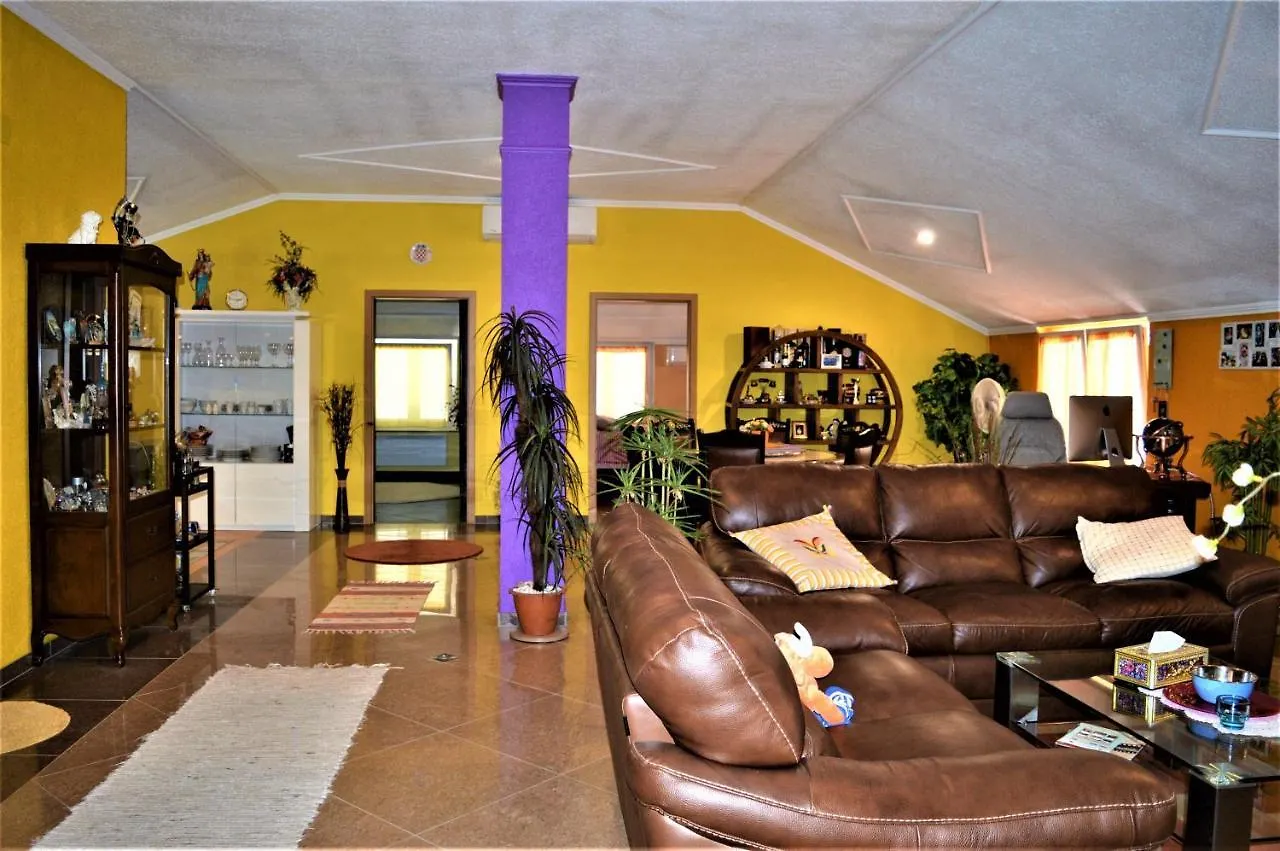 Studio Apartments Luka Biograd - Benkovac