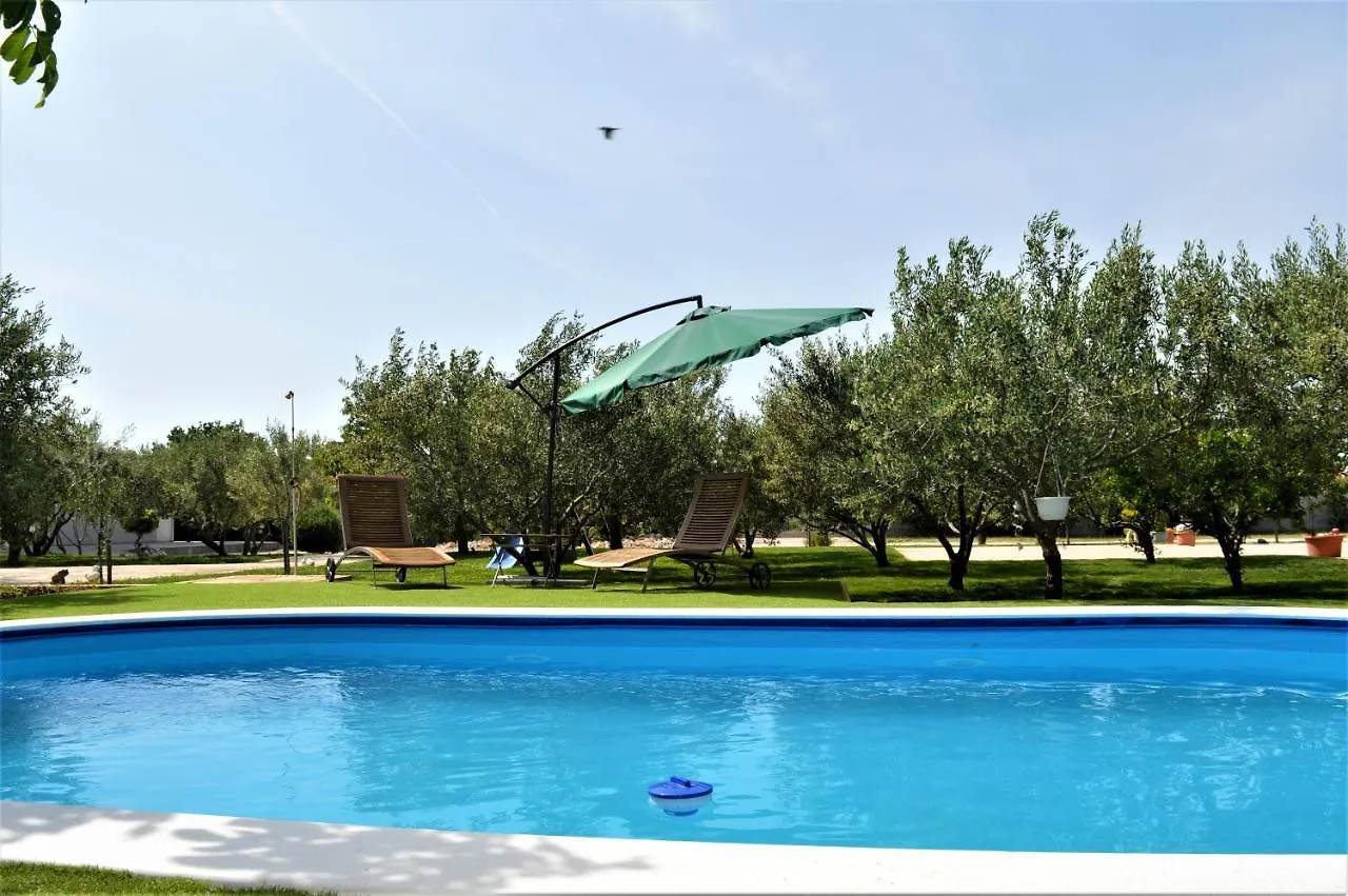 Studio Apartments Luka Biograd - Benkovac