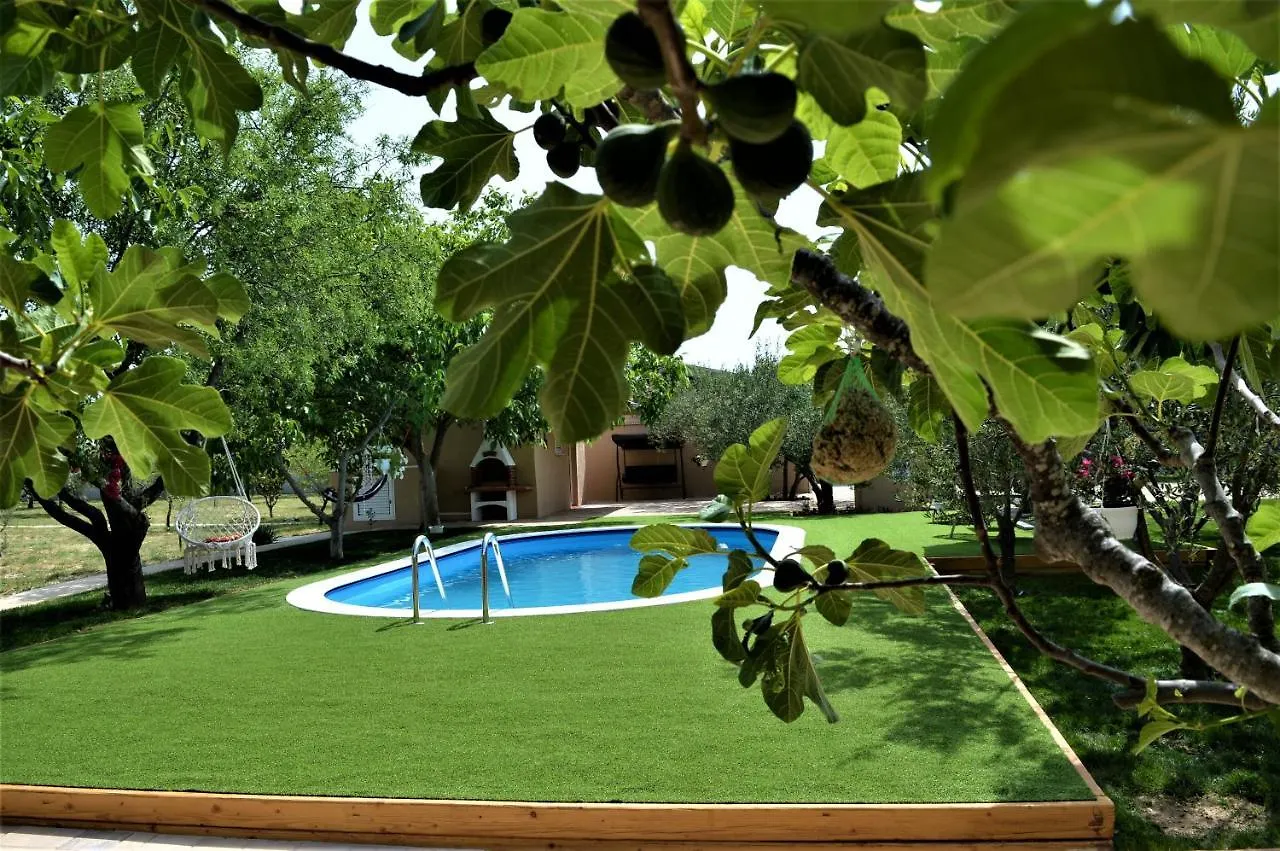 Studio Apartments Luka Biograd - Benkovac